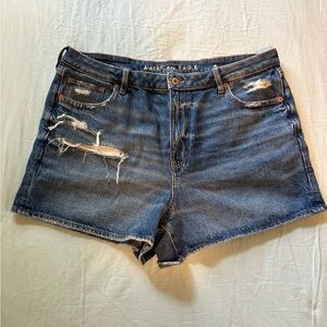 NWOT Distressed High-Waisted Jean Shorts
